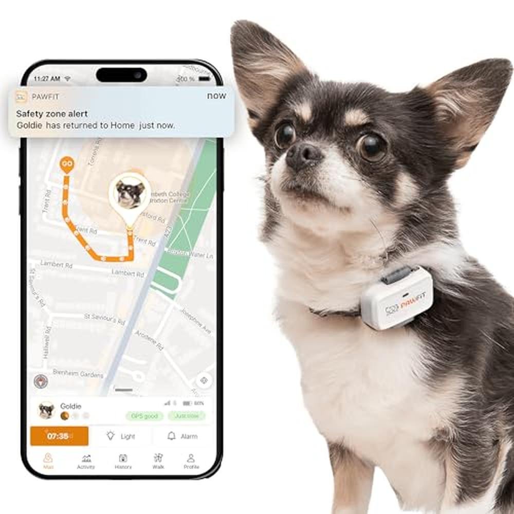 Pawfit Lite: GPS Tracker for Small Dogs – Front View