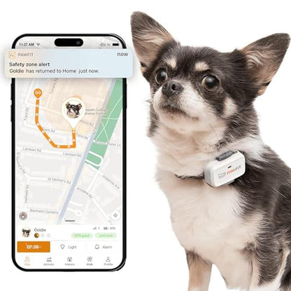 Pawfit Lite: GPS Tracker for Small Dogs – Front View