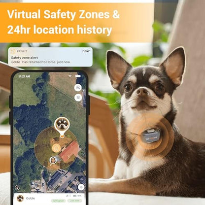 Pawfit Lite: GPS Tracker for Small Dogs – Close-up Detail