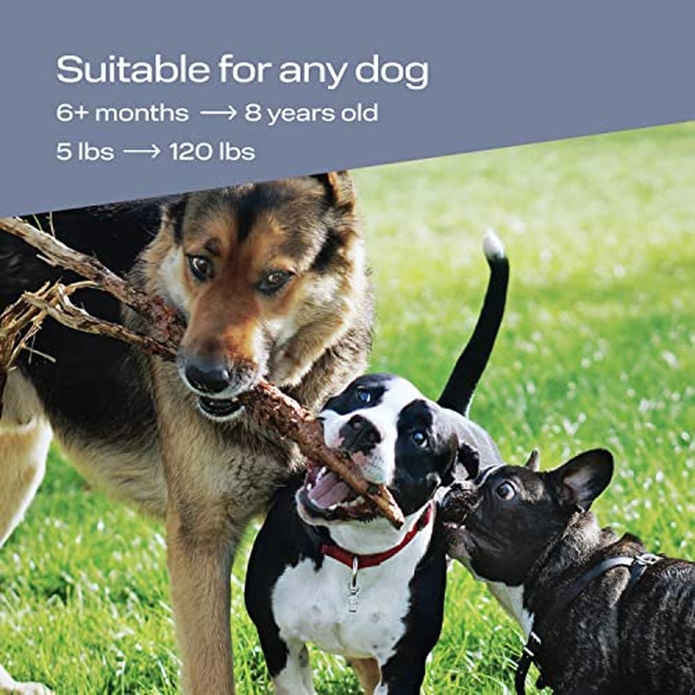Barking Device: PetSpy N30 Dog Barking Control Device with – In Use
