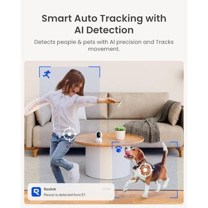 Camera Pet: REOLINK E1 4MP Indoor Security Camera – In Use