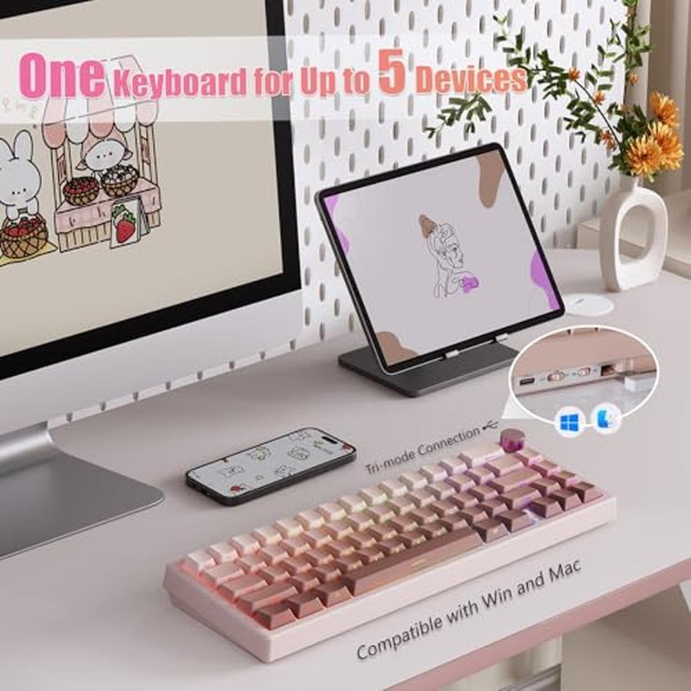 Risophy Keyboard: RisoPhy 60 Wireless Mechanical Keyboard – Close-up Detail