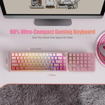 Risophy Keyboard: RisoPhy 60 Wireless Mechanical Keyboard – Packaging
