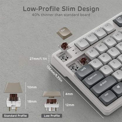 Mechanical Keyboard: RK ROYAL KLUDGE N80 Low Profile – Packaging