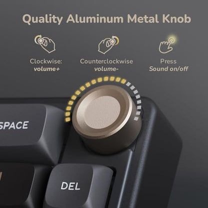 Keyboard Royal: RK ROYAL KLUDGE R65 60% RGB Backlit – Close-up Detail
