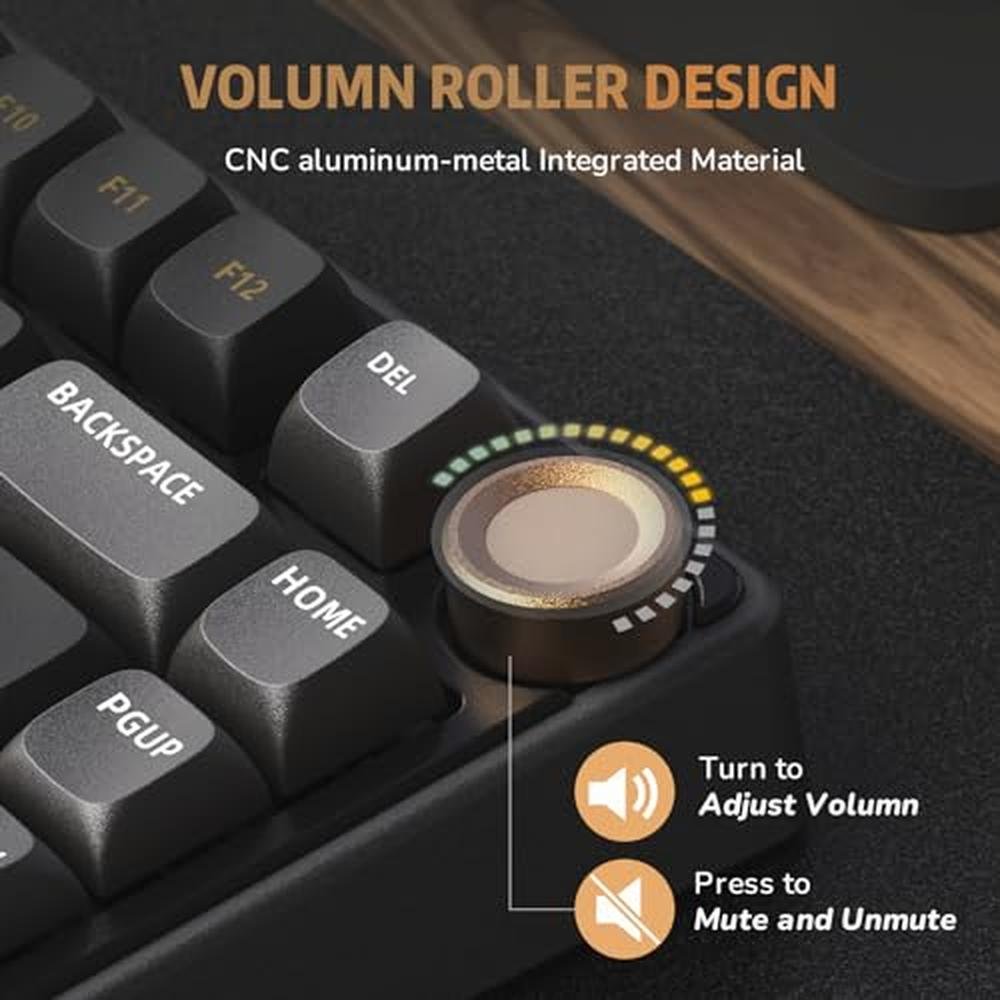 Gaming Keyboard: RK ROYAL KLUDGE R75 75% Mechanical Gaming – Close-up Detail