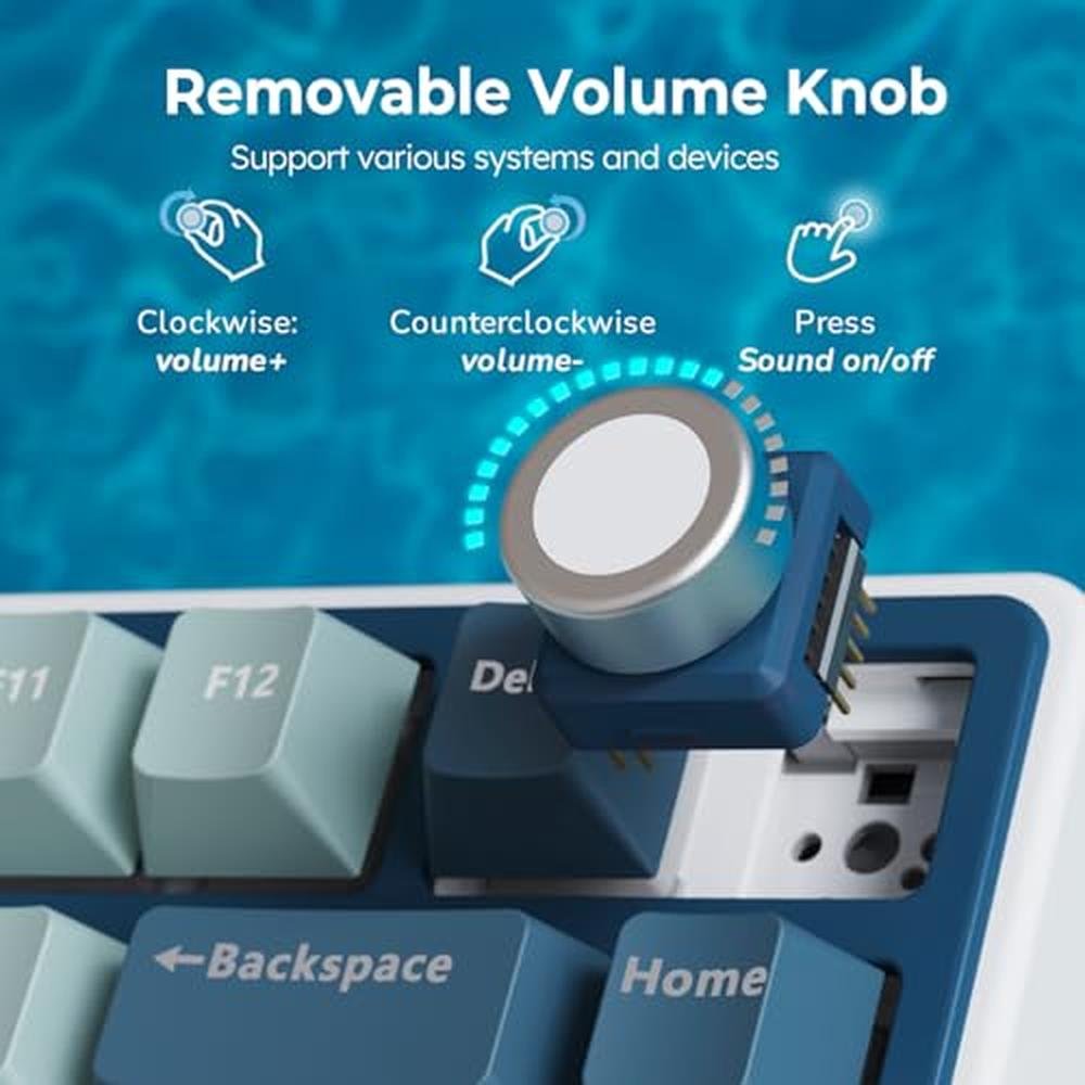 Keyboard Royal: RK ROYAL KLUDGE R75 Wireless Mechanical – In Use