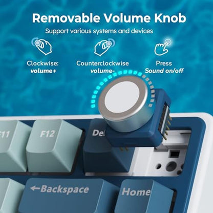 Keyboard Royal: RK ROYAL KLUDGE R75 Wireless Mechanical – In Use