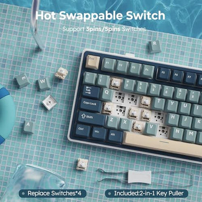 Keyboard Royal: RK ROYAL KLUDGE R75 Wireless Mechanical – Packaging