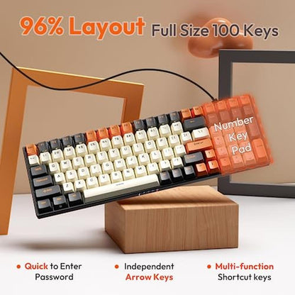 Keyboard Royal: RK ROYAL KLUDGE RK100 Wireless Mechanical – Packaging