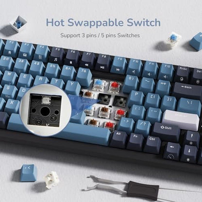 Keyboard Mechanical: RK ROYAL KLUDGE RK98 Wireless – In Use