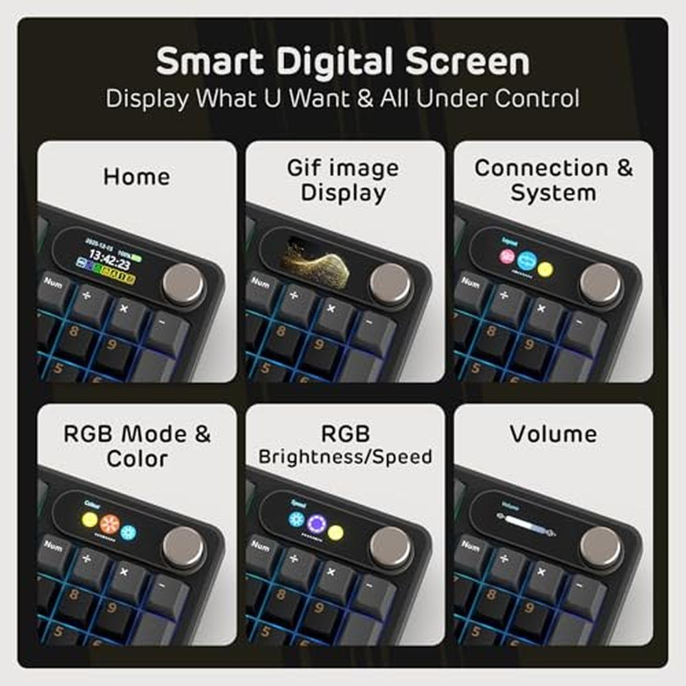 Keyboard Royal: RK ROYAL KLUDGE S98 Mechanical Keyboard – Close-up Detail