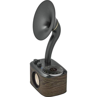 Sangean 100: Sangean CP 100 Retro Gramophone Radio with – Close-up Detail
