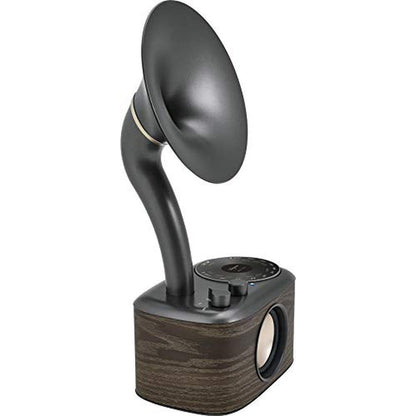 Sangean 100: Sangean CP 100 Retro Gramophone Radio with – In Use