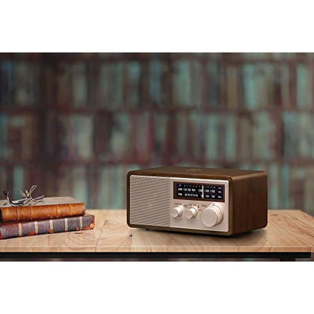 Sangean WR-16SE AM/FM/Bluetooth/Aux-in/USB Phone Charging – Close-up Detail