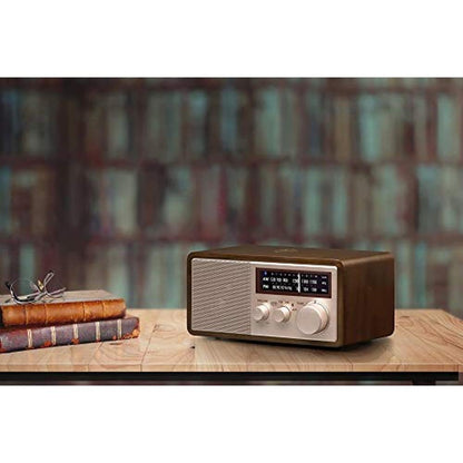 Sangean WR-16SE AM/FM/Bluetooth/Aux-in/USB Phone Charging – Close-up Detail