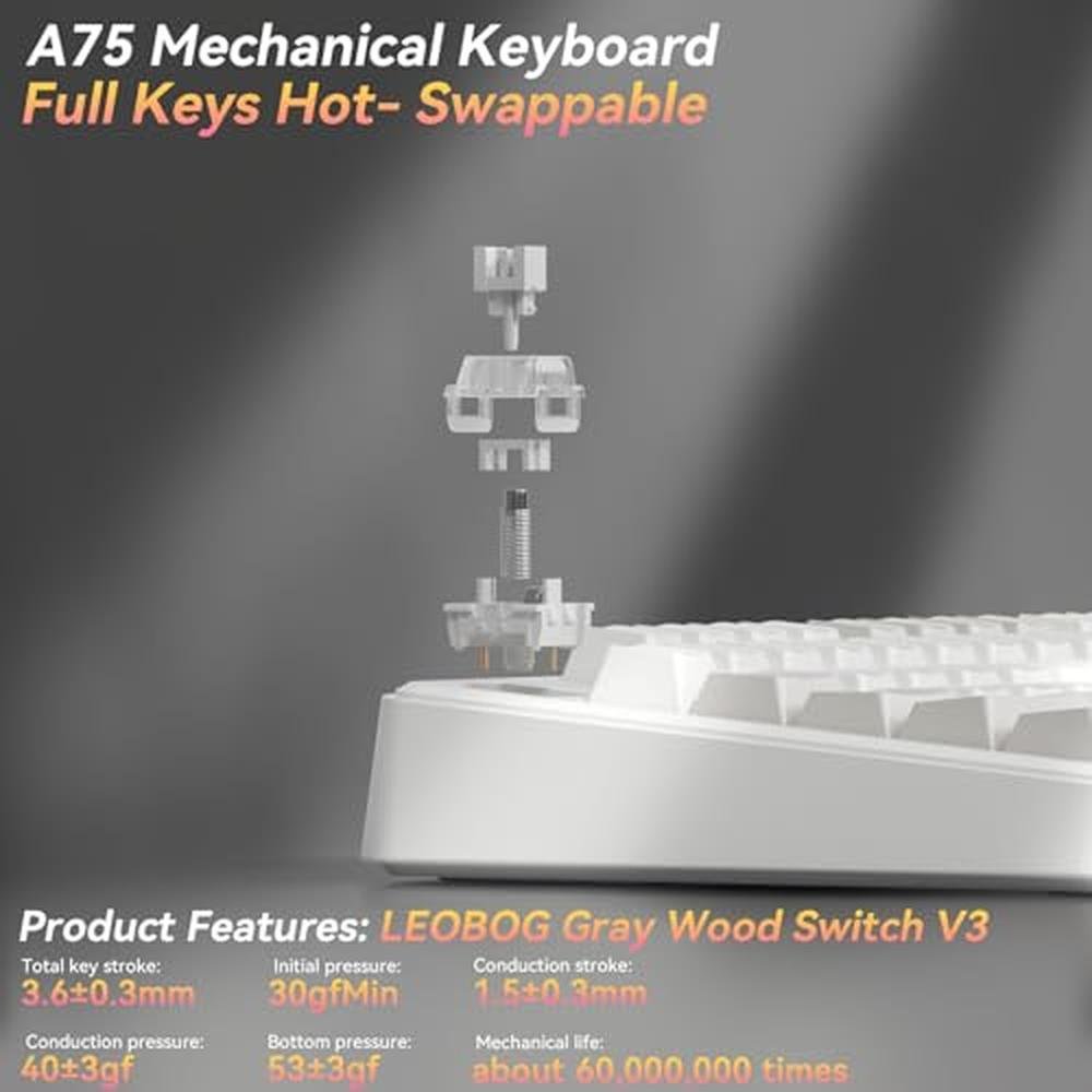 Keyboard Solakaka: SOLAKAKA A75 75% Wireless Mechanical Hot – Packaging