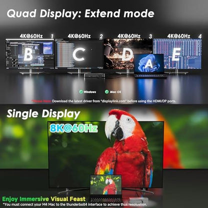 Thunderbolt 4 Dock: Wavlink Docking Station with Quad 4K – In Use