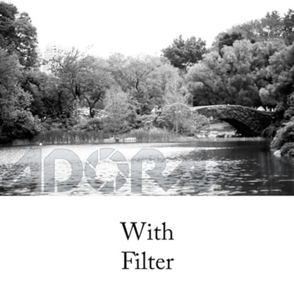 Tiffen 82mm 25 Filter (Red) – Close-up Detail