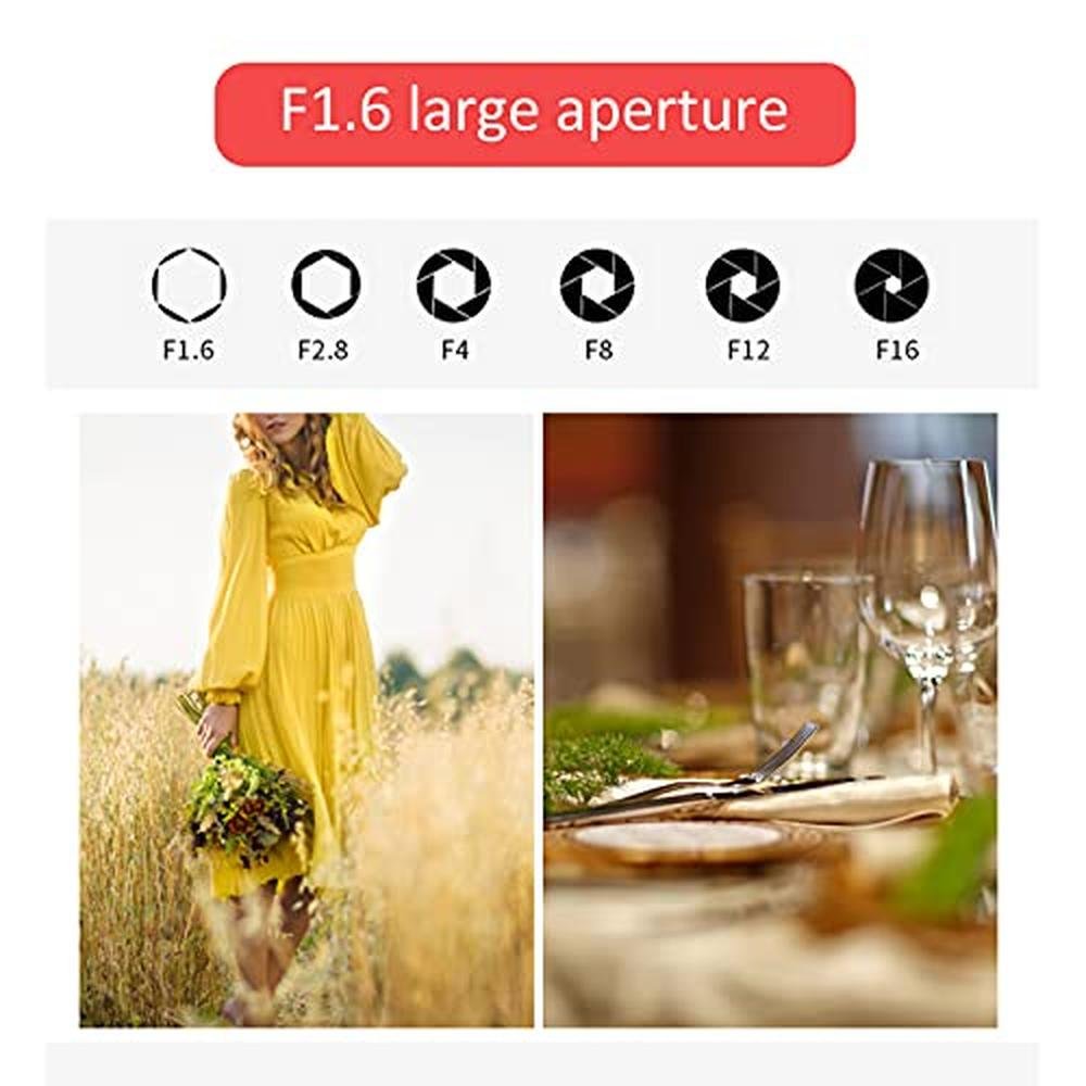 Tilt Shift Lens: 50mm F1.6 M Mount Manual Full Frame Lens – Close-up Detail