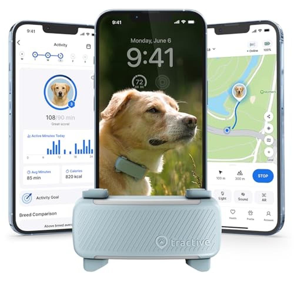 Dog Tracker: Tractive Smart Dog GPS Tracker Live Pet – Front View