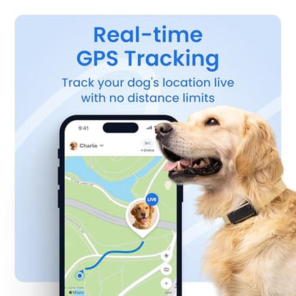 Dog Tracker: Tractive Smart Dog GPS Tracker Live Pet – Side View