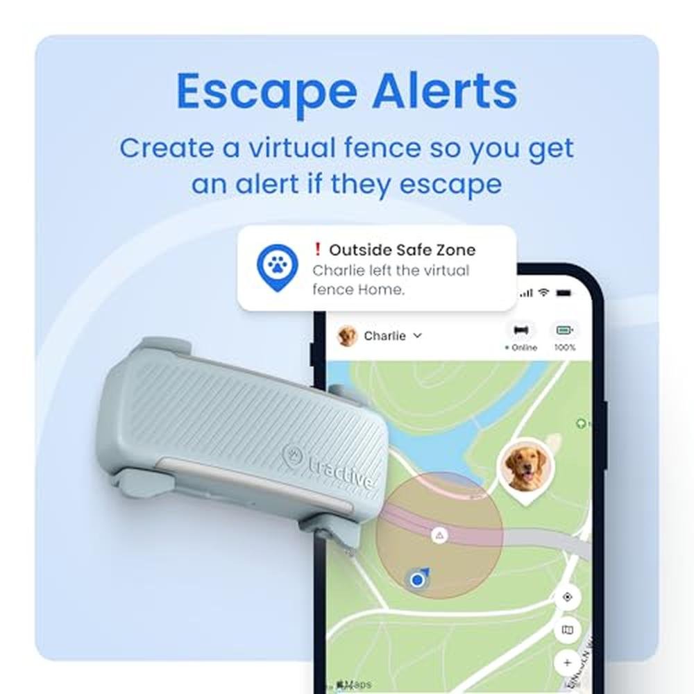 Dog Tracker: Tractive Smart Dog GPS Tracker Live Pet – Close-up Detail