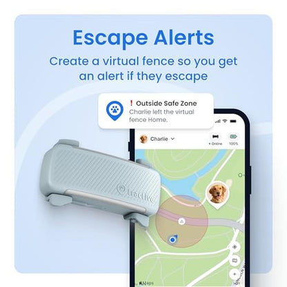 Dog Tracker: Tractive Smart Dog GPS Tracker Live Pet – Close-up Detail