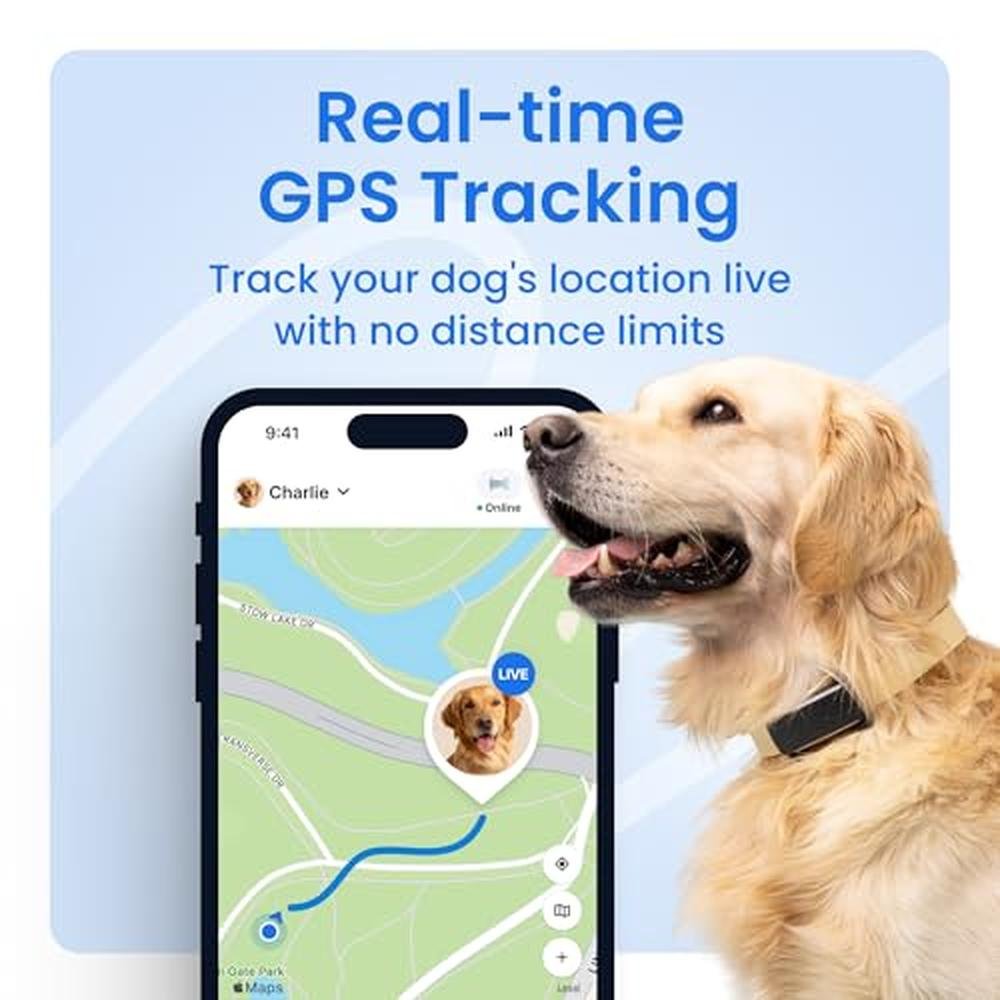 Dog Tracker: Tractive Smart GPS Tracker – Side View