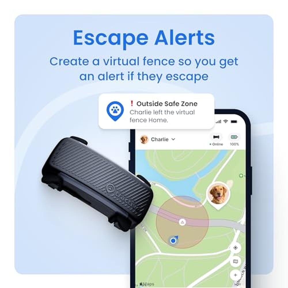 Dog Tracker: Tractive Smart GPS Tracker – Close-up Detail