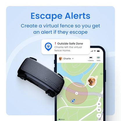 Dog Tracker: Tractive Smart GPS Tracker – Close-up Detail