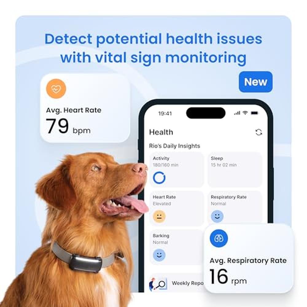 Dog Tracker: Tractive Smart GPS Tracker – In Use