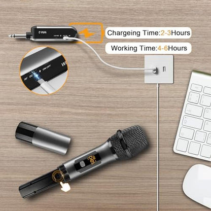 Vegue Microphone: VeGue Wireless UHF Cordless Dual Handheld – Packaging
