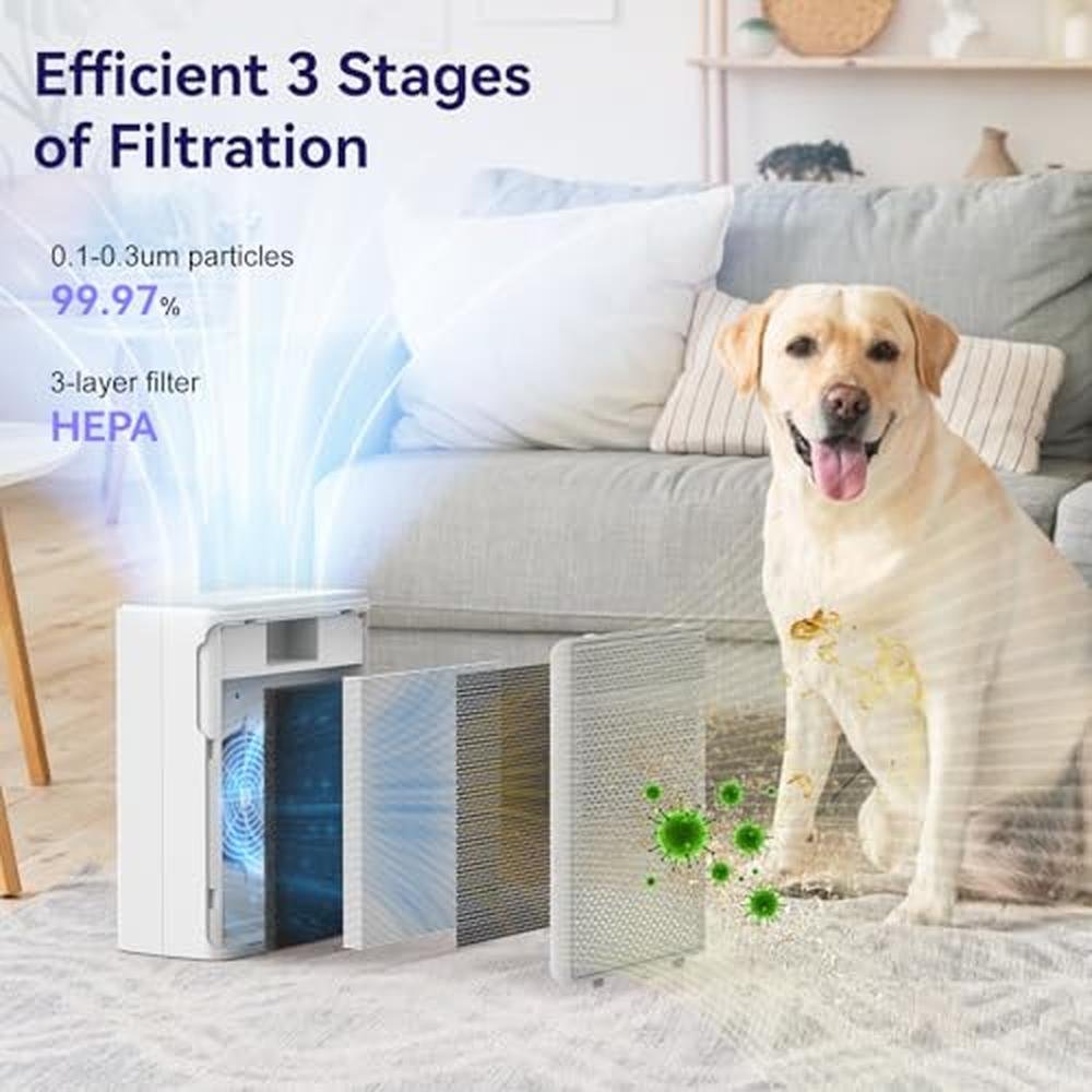 Air Filter: YARIKI P280 H13 HEPA Filter with Washable – In Use