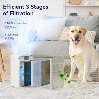 Air Filter: YARIKI P280 H13 HEPA Filter with Washable – In Use