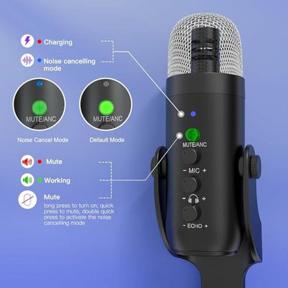 Wireless Microphone: ZealSound K66DG Noise Cancellation – In Use