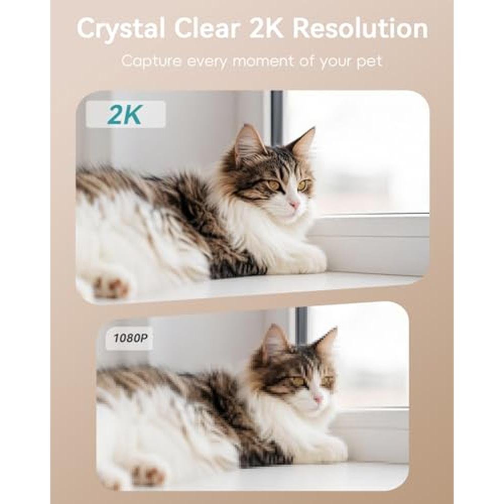 Pet Camera: ZUMIMALL Indoor 5G 2.4G WiFi Camera for Dog Cat – In Use